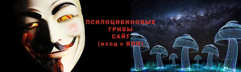 Псилоцибиновые грибы Psilocybe  Туймазы 